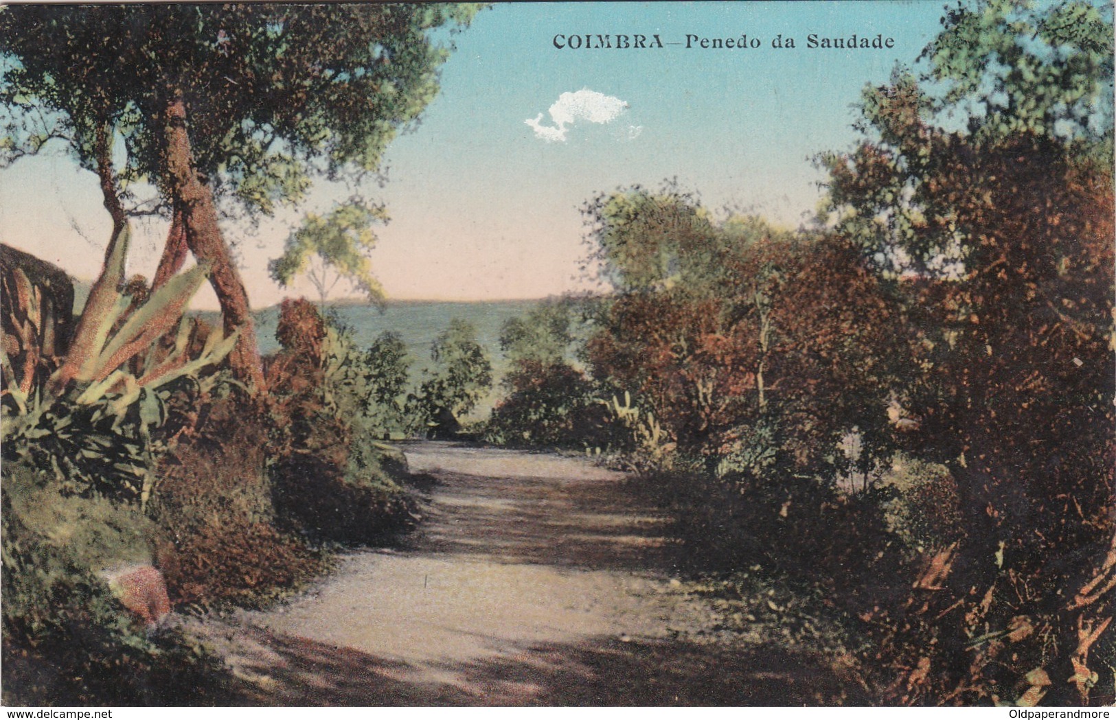 POSTCARD PORTUGAL - COIMBRA - PENEDO DA SAUDADE - Coimbra