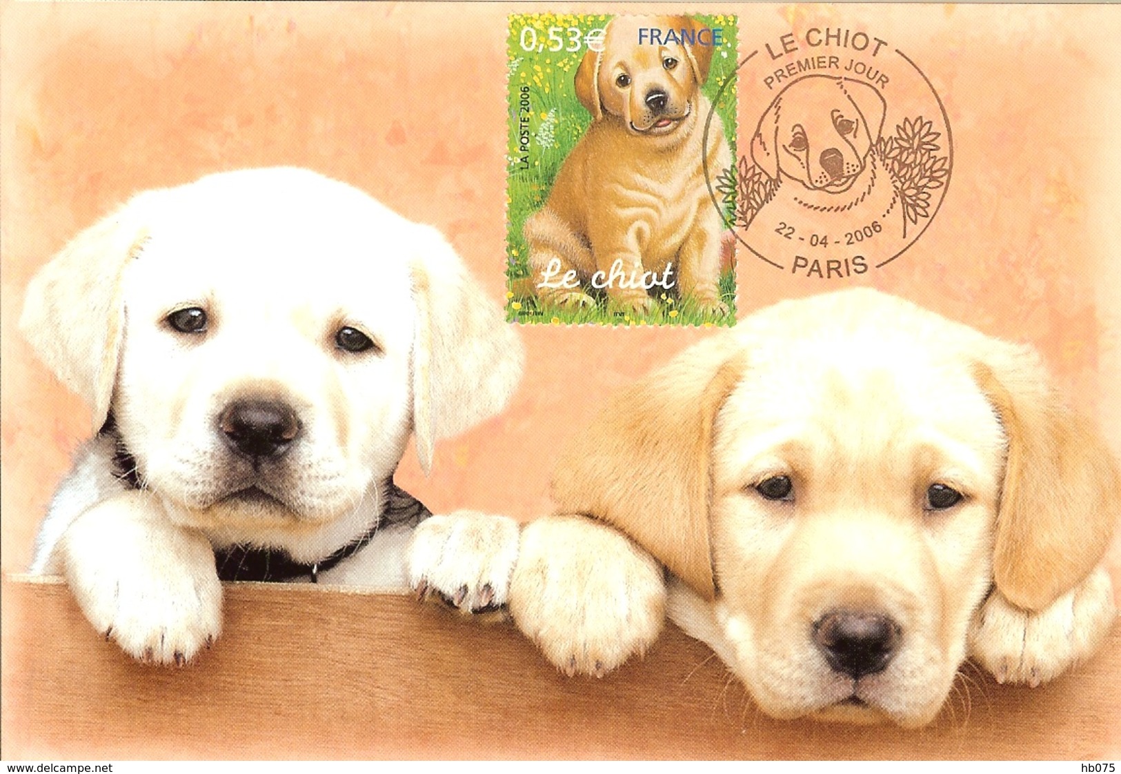 HB-P 058 Carte Maximum 2006 Chiots Le Labrador N°3898 - 2000-2009