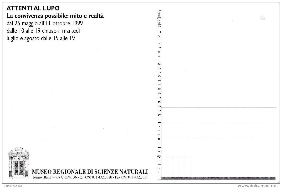 [MD1191] CPM - LUPO - TORINO - ATTENTI AL LUPO - MUSEO REGIONALE DI SCIENZE NATURALI - Non Viaggiata - Altri & Non Classificati