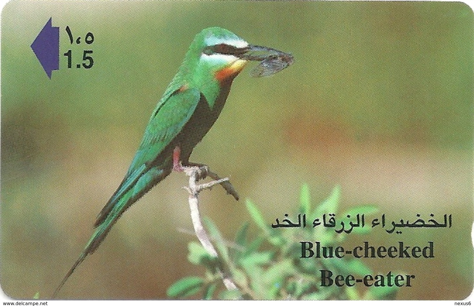 Oman - Blue Cheeked Bee-eater - 44OMNM - 1999, 250.000ex, Used - Oman