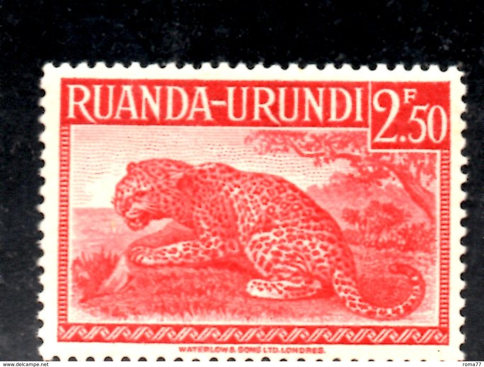 XP3029 - RUANDA URUNDI 1943 ,  Yvert N. 139 ***  MNH . LEOPARDO - Nuovi