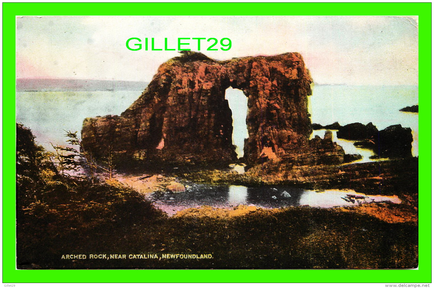 CATALINA, NEWFOUNDLAND - ARCHED ROCK -  SOUVENIR POST CARD - - Other & Unclassified