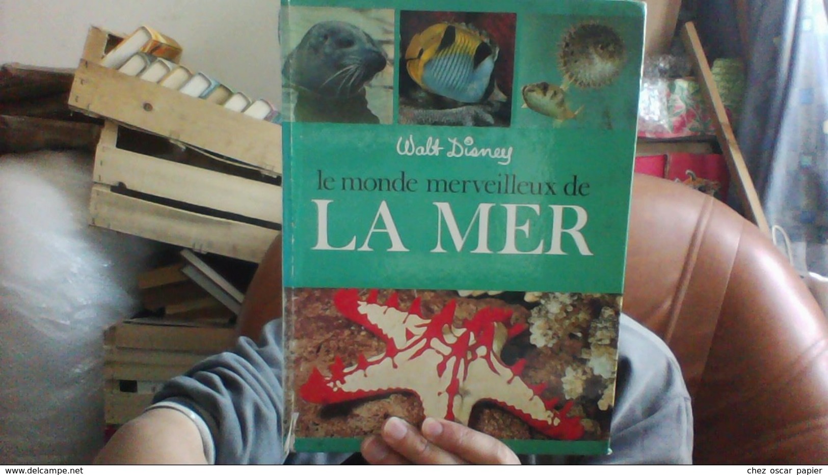 Le Monde Merveilleux De La Mer Walt Disney Hachette - Disney