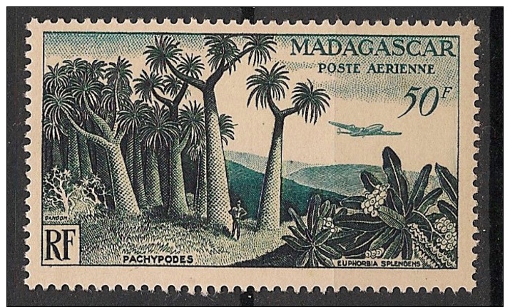 Madagascar - 1954 - Poste Aérienne N°Yv. 75 - Forêt - Neuf Luxe ** / MNH / Postfrisch - Poste Aérienne