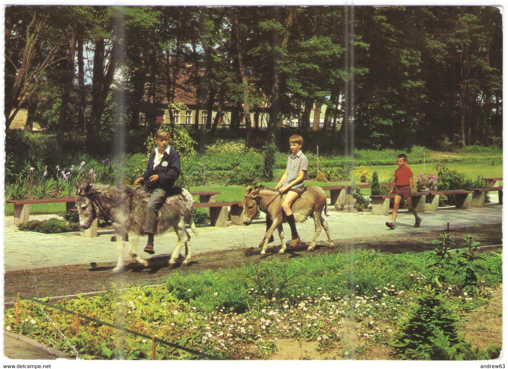 GERMANIA - GERMANY - Deutschland - ALLEMAGNE - BUNDESPOST - 1991 - 30 Weimar - Ueckermünde - Tierpark, Asini, Bambini - - Ückermünde