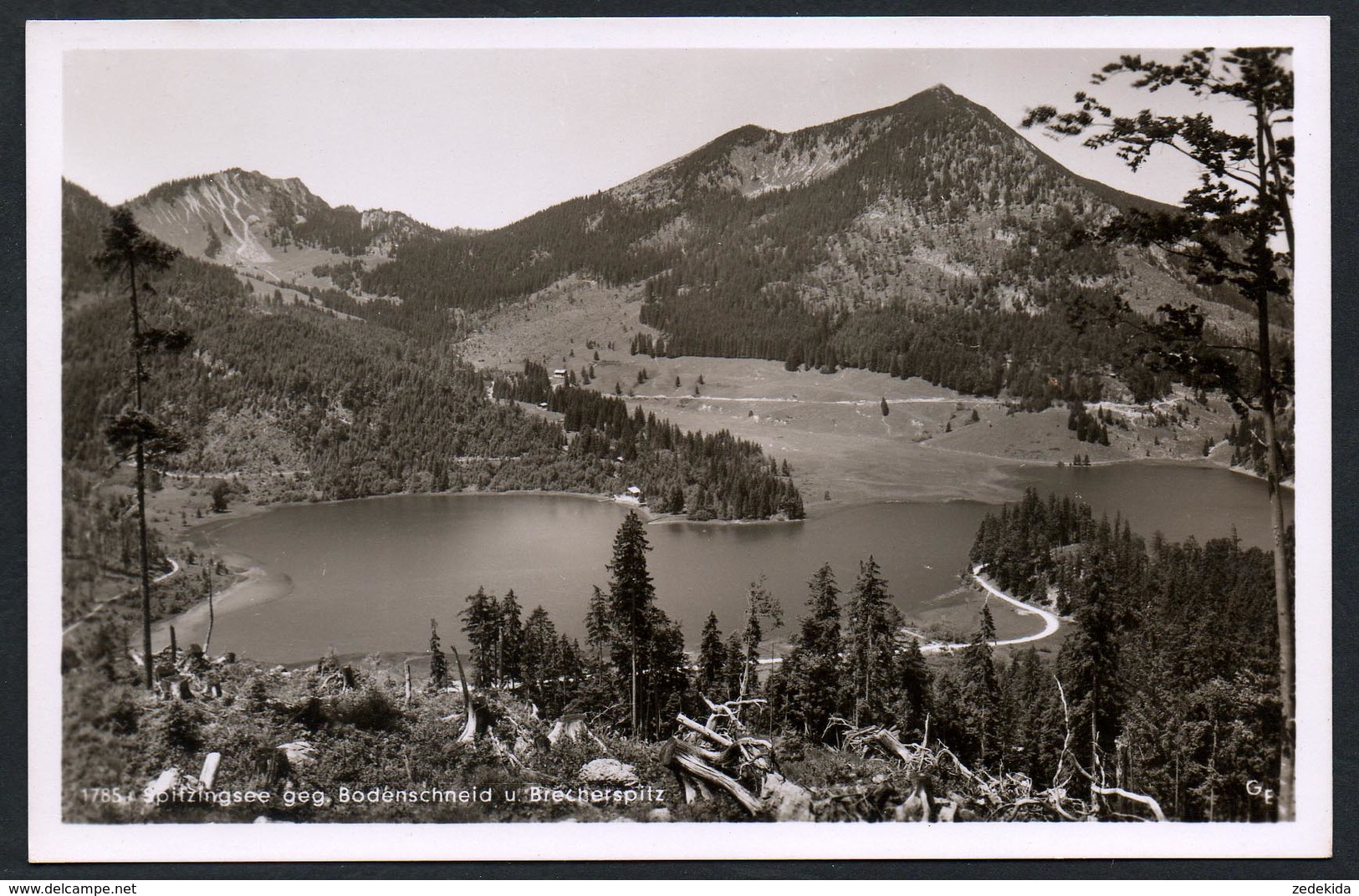 A3799 - Alte Foto Ansichtskarte - Spitzingsee Bodenschneid Brecherspitz - Georg Eitzenberger - TOP - Schliersee