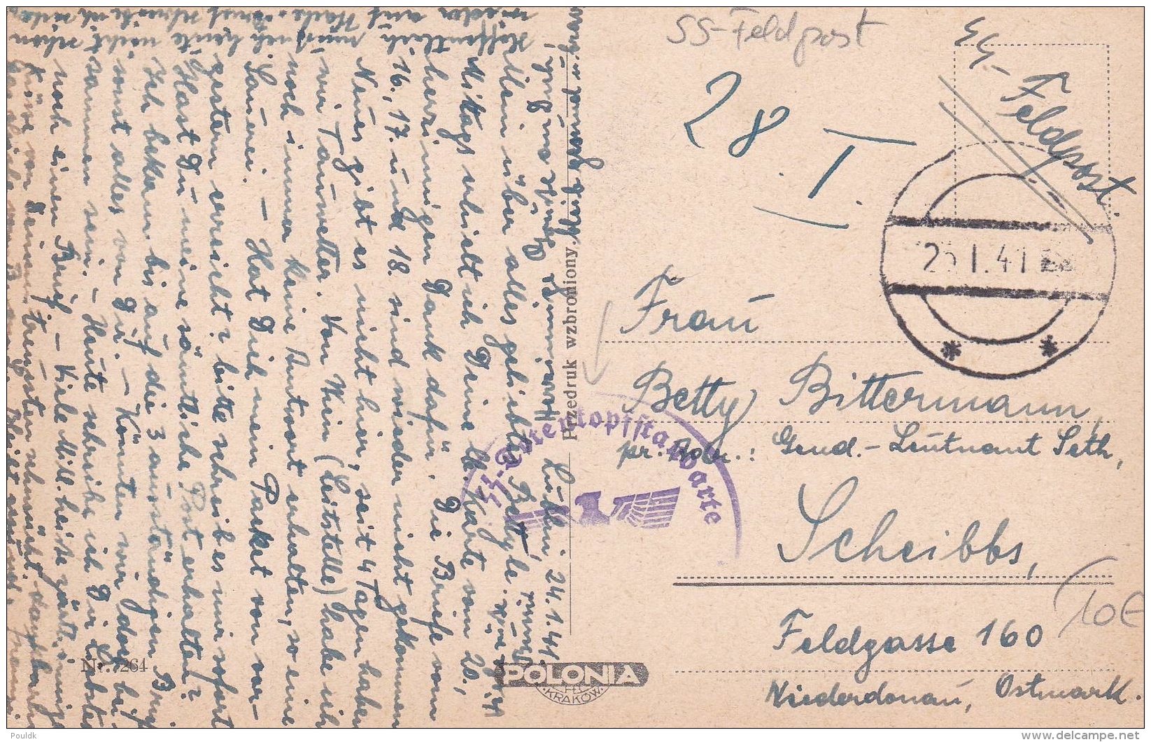SS Feldpost WW2: Postcard Tatry From SS Totenkopfstandarte In Lublin (Poland) P/m 25.1.1941  (G79-55) - Militaria