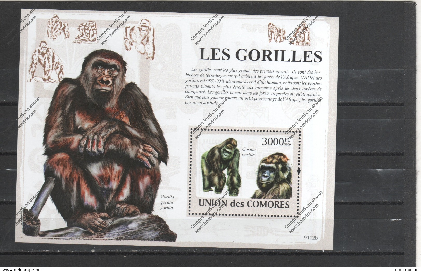 COMORE Nº - Gorilla