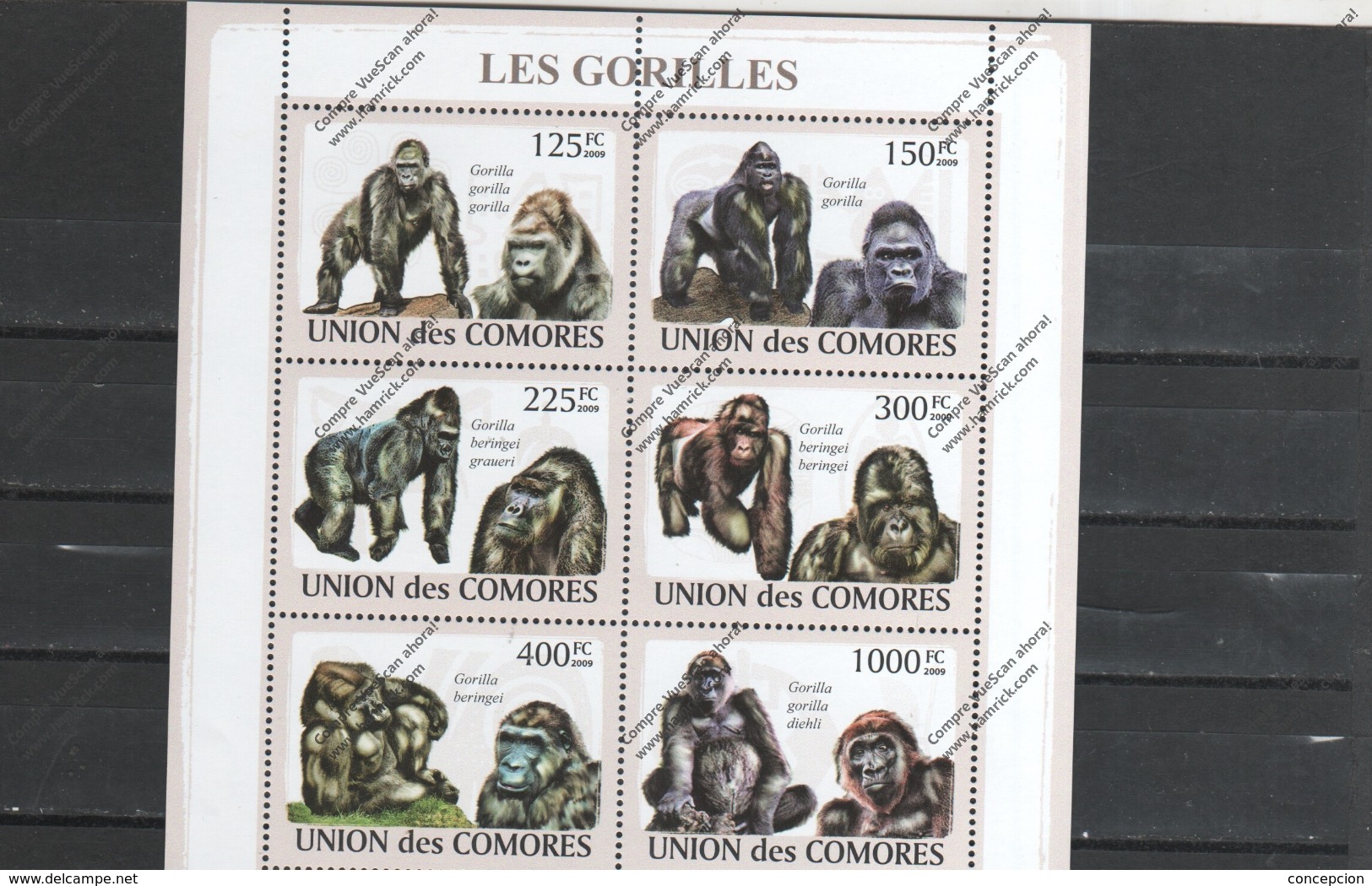 COMORE Nº - Gorillas