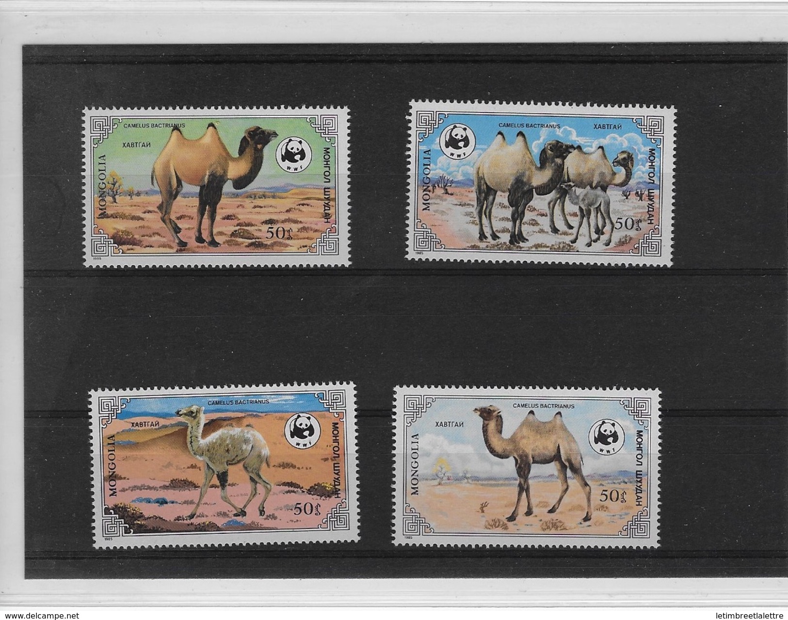 Lot De 4 Timbres WWF - Neufs