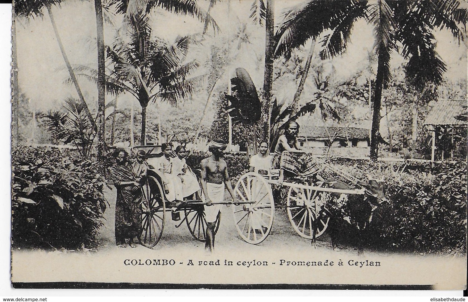 1924 - CARTE De COLOMBO (CEYLAN) Avec OBLITERATION MARITIME Sur PASTEUR - Maritime Post