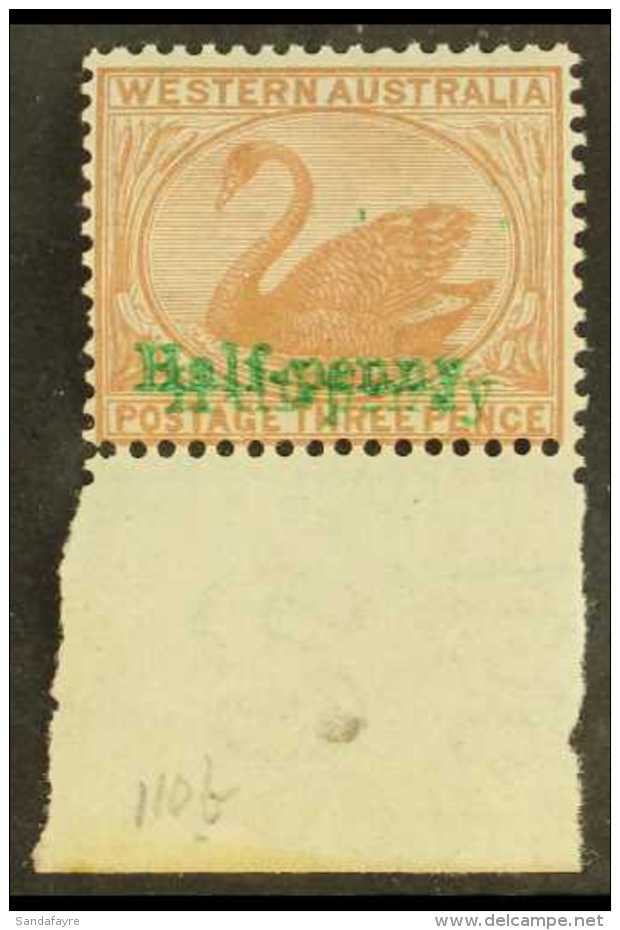WESTERN AUSTRALIA 1895 &frac12;d In Green On 3d Cinnamon, SURCHARGE DOUBLE, SG 108a, A Very Fine Lower Marginal... - Other & Unclassified