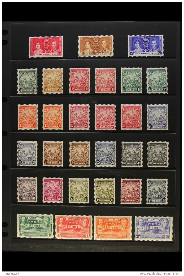 1937-52 MINT KGVI COLLECTION Presented On A Pair Of Stock Pages With Values To Different 5s. (55+ Stamps) For More... - Barbados (...-1966)