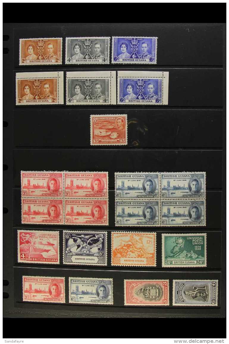 1937-75 MINT / NHM ACCUMULATION A Most Useful Hoard Presented On Stock Pages Chiefly Never Hinged Mint &amp;... - British Guiana (...-1966)
