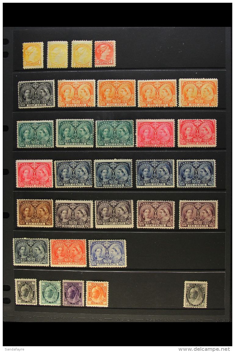 1870-1908 MINT COLLECTION On Stock Pages, Inc 1870-90 1c (x3) &amp; 1889-97 3c Small Heads, 1897 &frac12;c, 1c... - Other & Unclassified