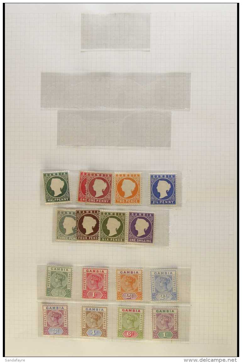 1886 - 1938 FRESH MINT ONLY COLLECTION Fine Mint Collection With Many Complete Sets And Better Items In Mounts On... - Gambia (...-1964)