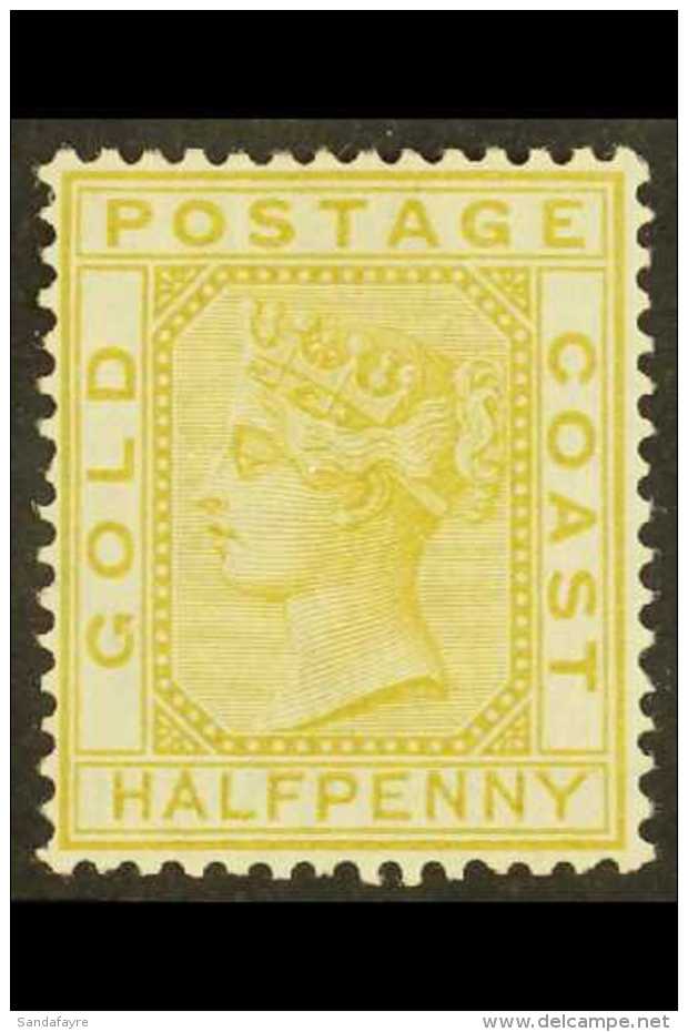 1876-84 (wmk CC) &frac12;d Olive-yellow, SG 4, Fine Mint. For More Images, Please Visit... - Gold Coast (...-1957)