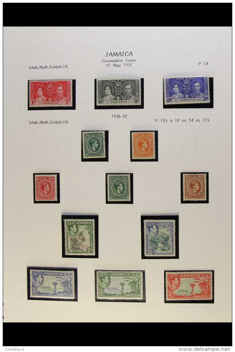 1937-52 KGVI FINE MINT COLLECTION Complete For Basic KGVI Issues, 1938-52 Defins Perfs Of 5s &amp; 10s Values, SG... - Jamaica (...-1961)
