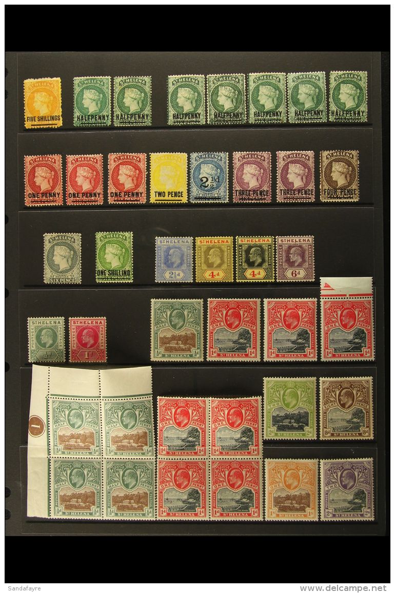 1864-1911 MINT COLLECTION On A Stock Page With 1864 Values To 5s, 1884 Values To 4d Incl Reversed Wmks, 1903 Ed... - Saint Helena Island