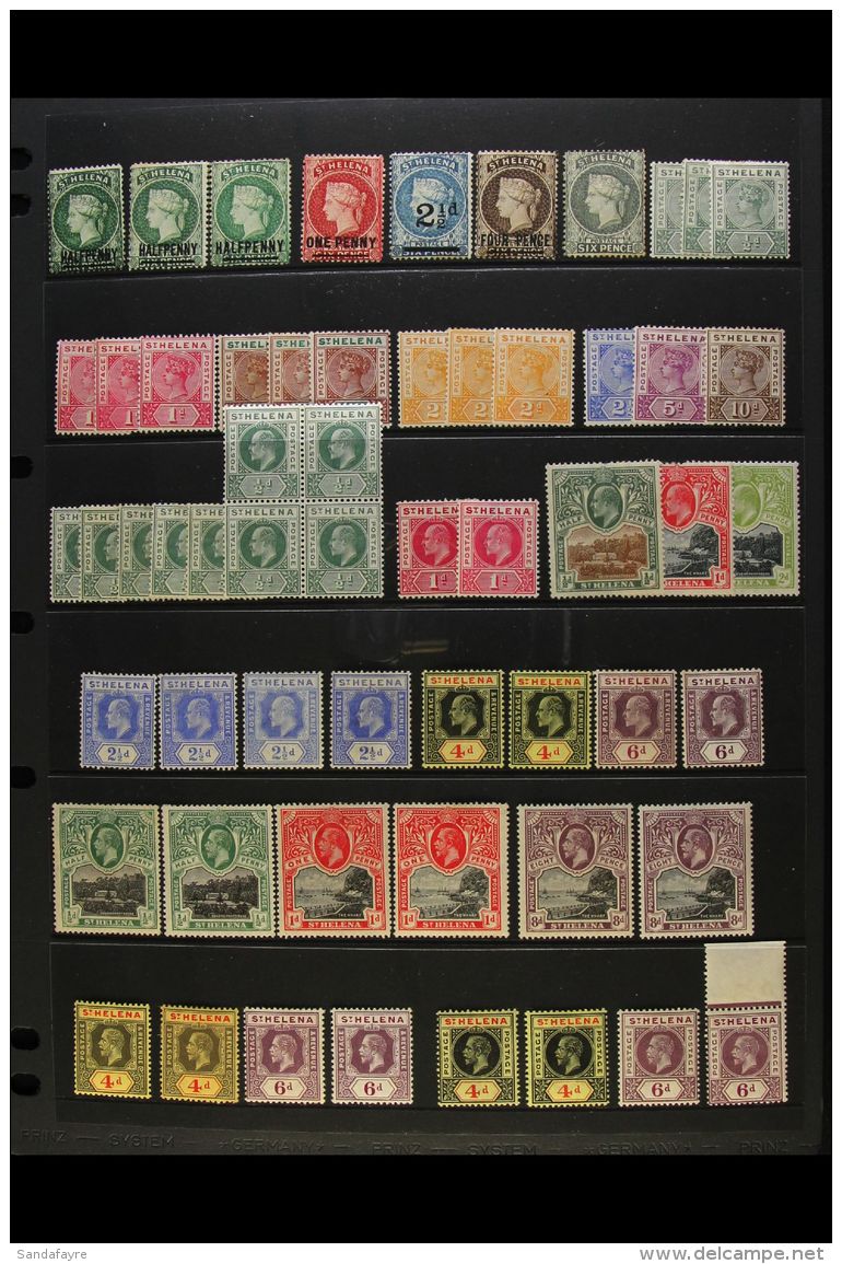 1884-1968 MINT ACCUMULATION Presented On Stock Pages. A Useful Selection That Includes QV 1890-97 Set, KEVII... - Saint Helena Island