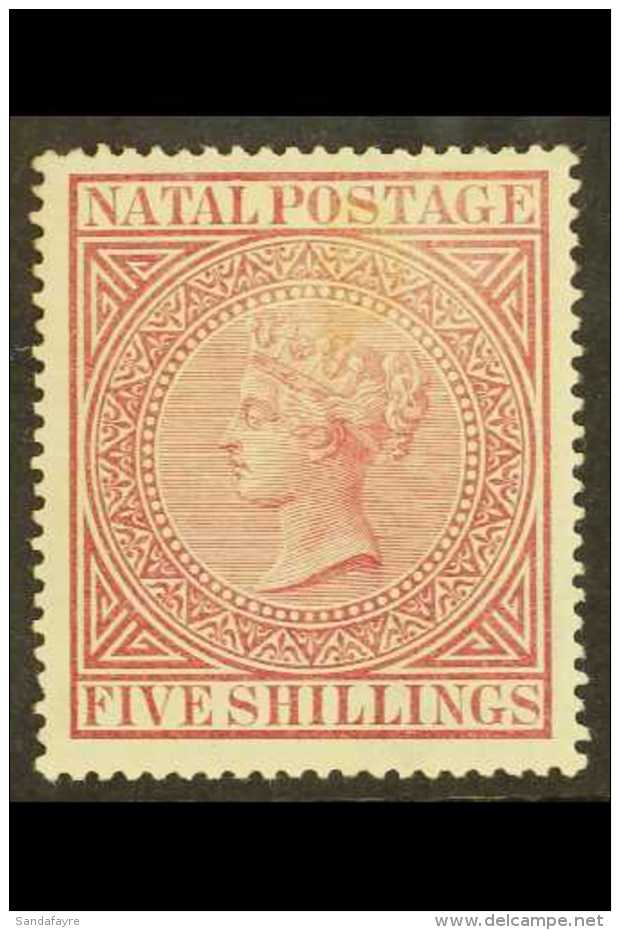 NATAL 1874-99 5s Maroon, Perf 14, SG 71, Mint, Light Discoloration Above The Queen's Head, Otherwise Very Fresh... - Unclassified