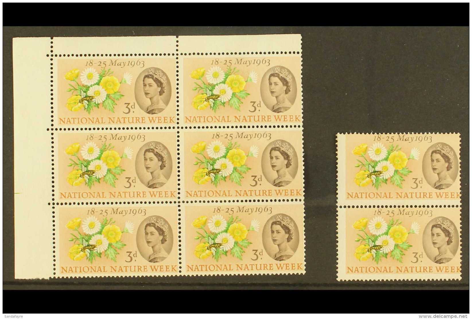 1963 NATIONAL NATURE WEEK - VARIETIES 3d Yellow, Green, Brown &amp; Black, Corner Block Of 6 &amp; Vertical Pair,... - Other & Unclassified