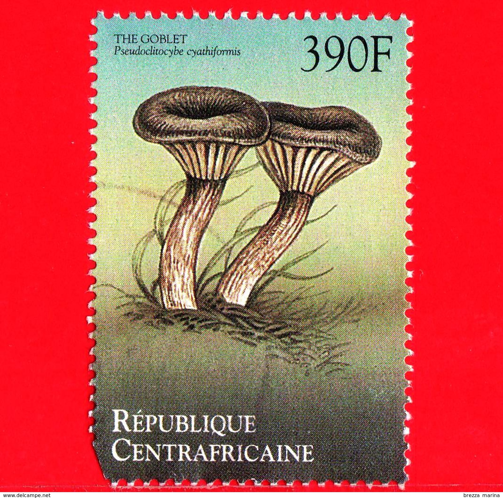 REPUBBLICA CENTROAFRICANA - Usato - 2009 - Funghi - Pseudoclitocybe Cyathiformis - 3.90 - Repubblica Centroafricana