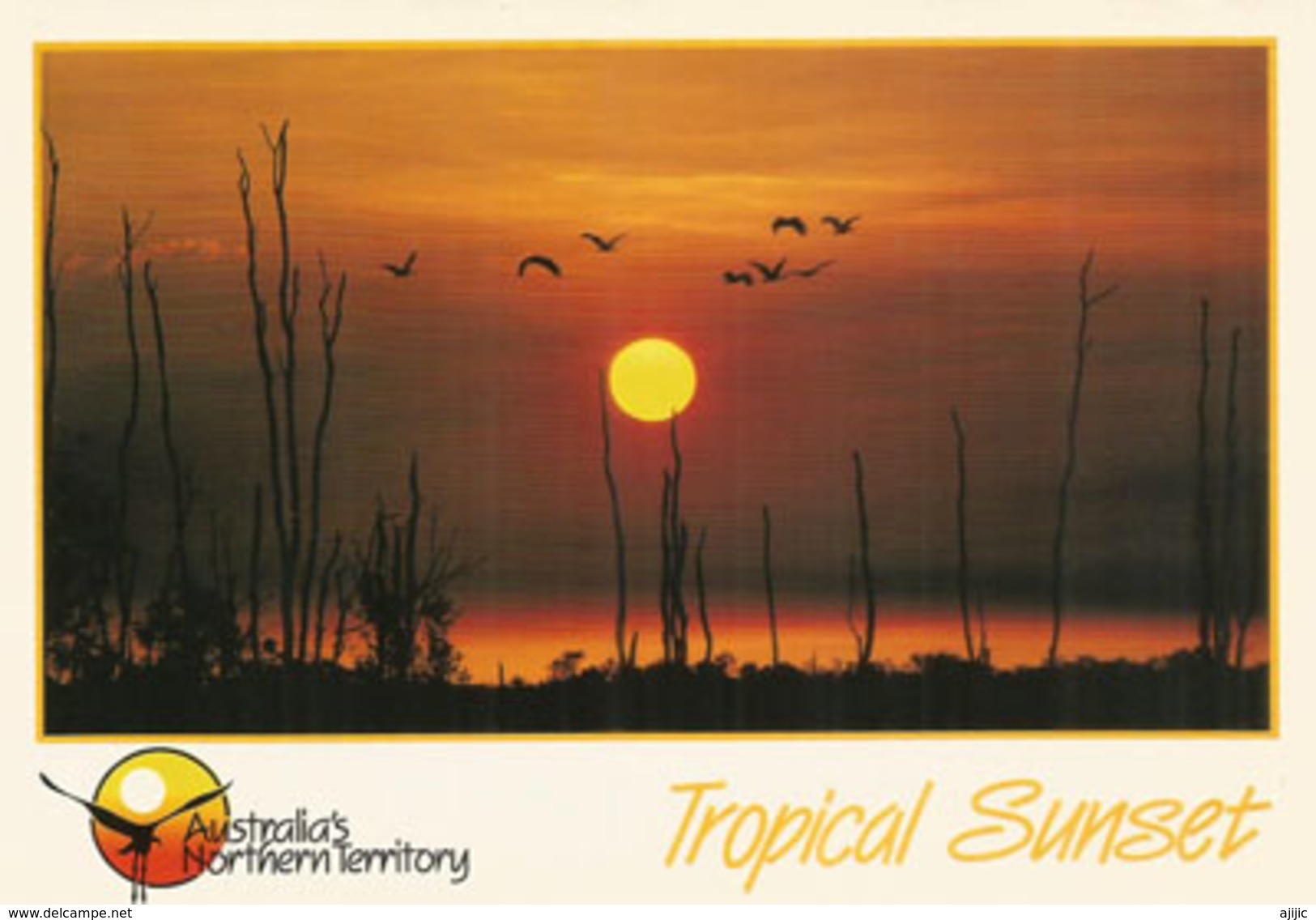 Darwin Sunset (Fogg Dam Conservation Reserve). Northern Territory.  Carte Postale Barker Souvenirs. - Darwin