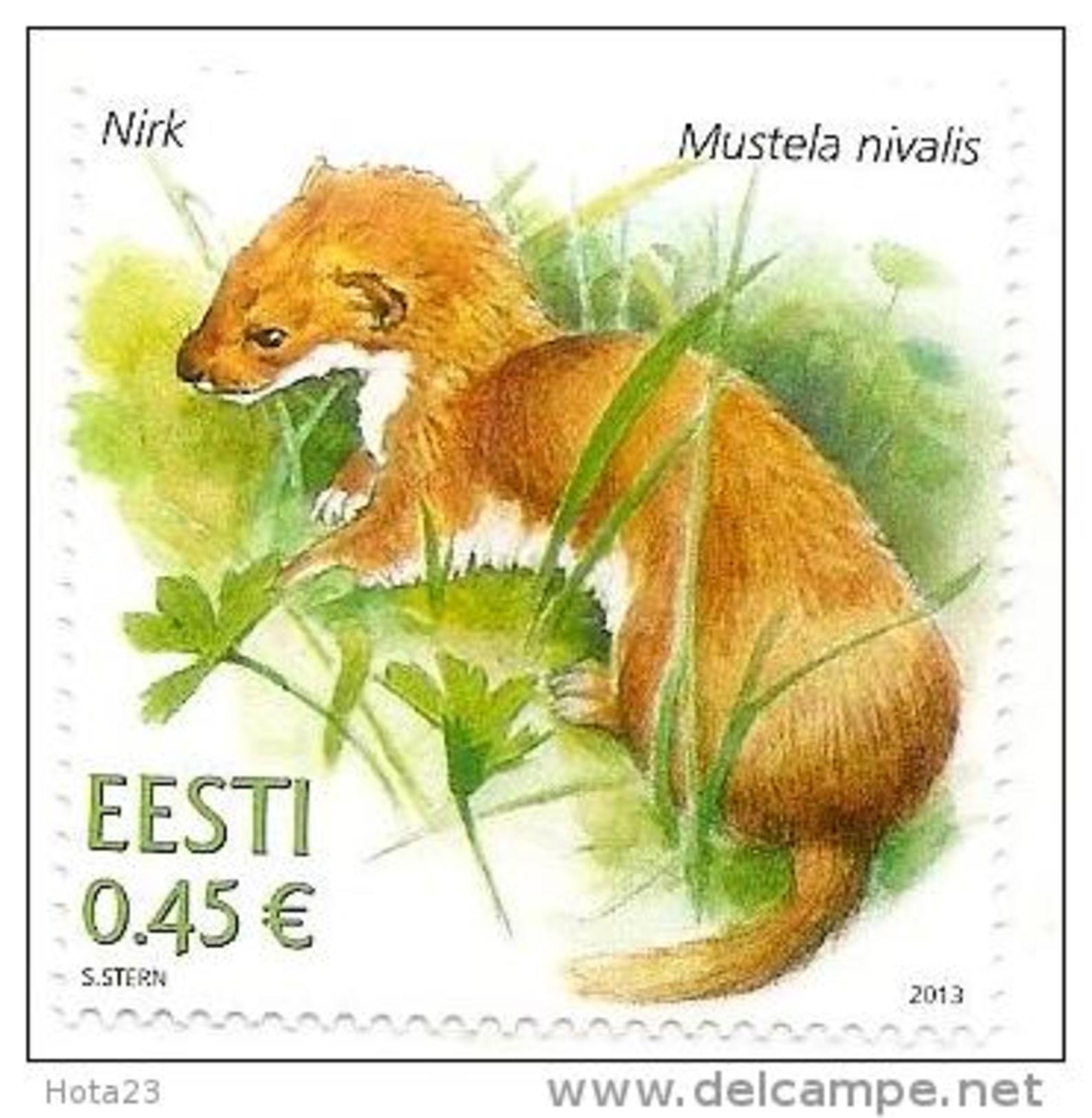 ESTONIA 2013. ESTONIAN FAUNA WEASEL  STAMP  MNH - Andere & Zonder Classificatie