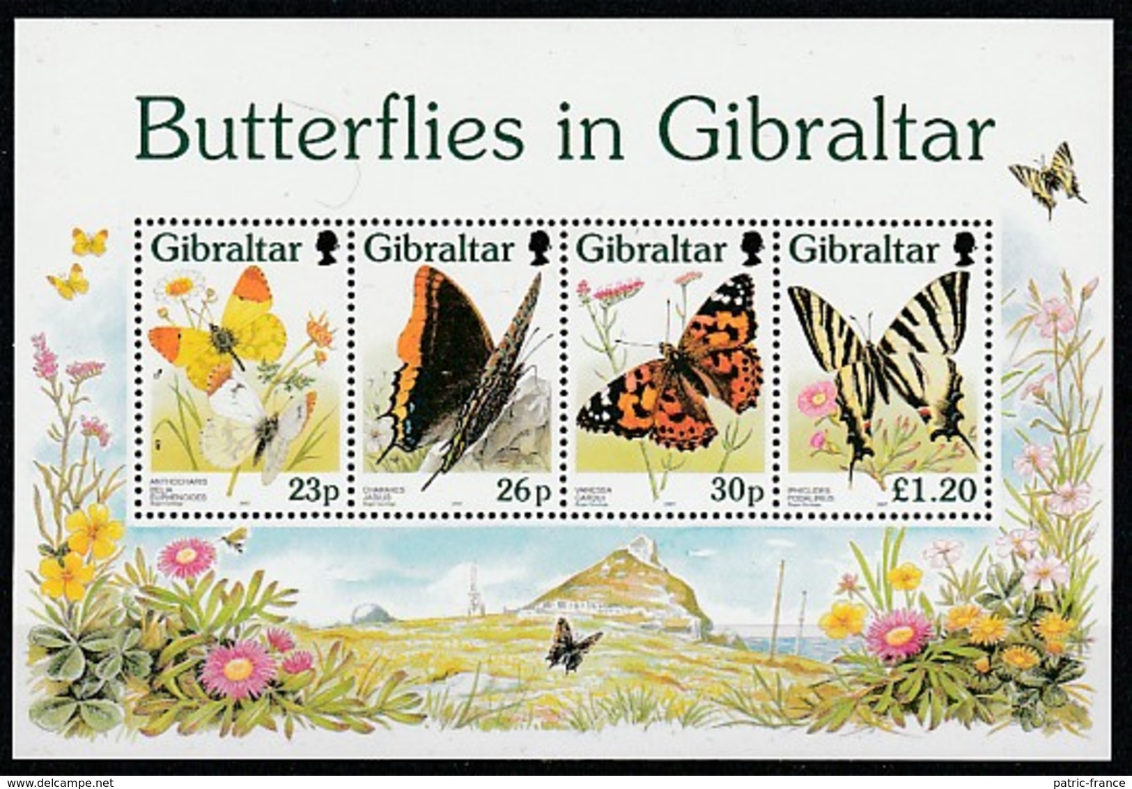 GIBRALTAR 1997 - Papillons - Yv BF26 ** (cote 11.00) - Gibilterra