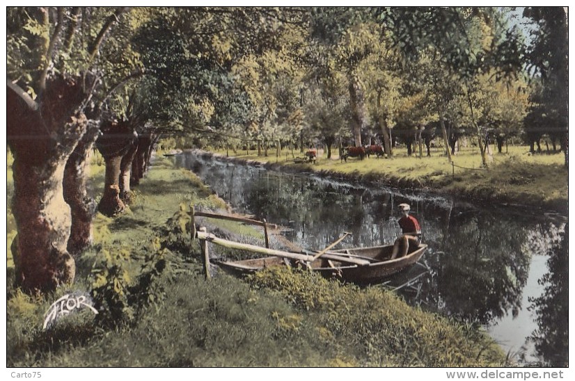 Marais Poitevin 79 - Barque Pêche Venise Verte - 1958 Cachet Faymoreau Des Mines - Timbre Charnière - Autres & Non Classés