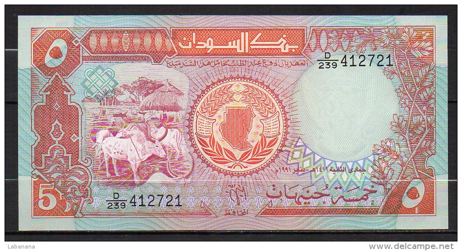523-Soudan Billet De 5 Pounds 1991 D239 Neuf - Sudan