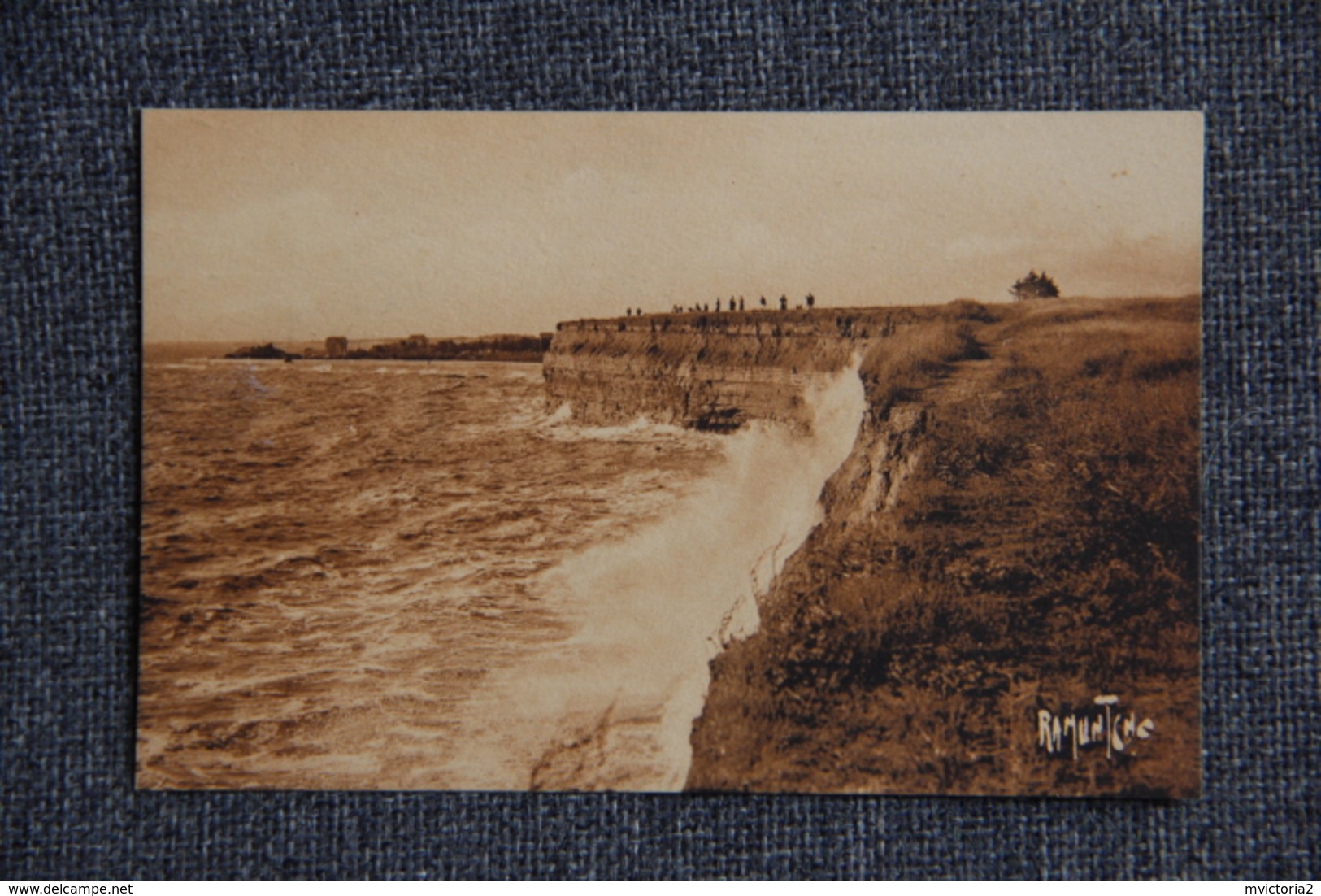 CHATELAILLON - Falaise Des Boucholeurs - Châtelaillon-Plage