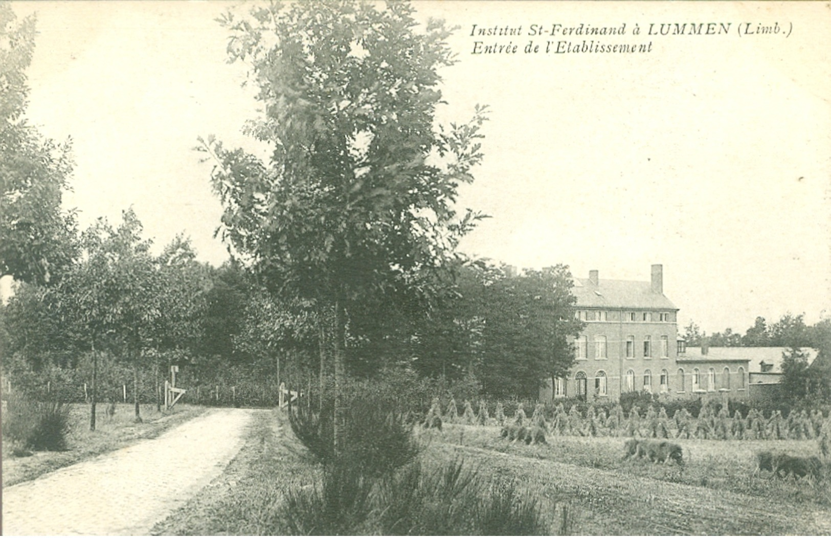 Lummen  :  Institut St. Ferdinand - Lummen