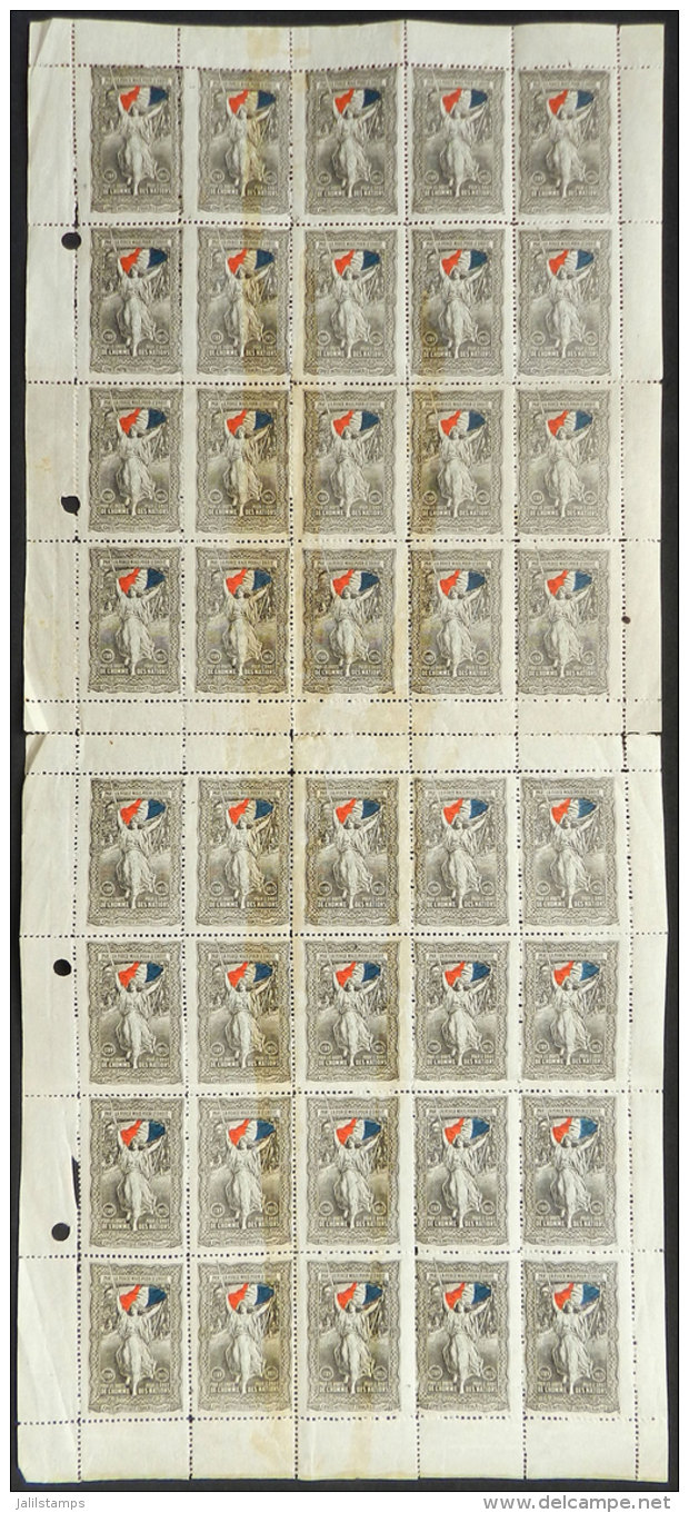 Cinderella Of The Year 1915 Of The French Patriotic Committee In Buenos Aires, Double Sheet Of 40 Cinderellas With... - Autres & Non Classés