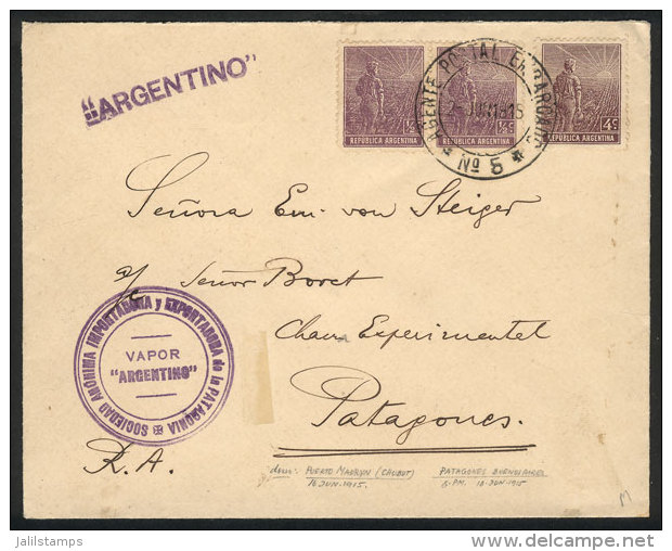 Cover Probably Dispatched In Punta Arenas, Rio Gallegos Or Further South, Franked With Stamps Of The Plowman Issue... - Autres & Non Classés