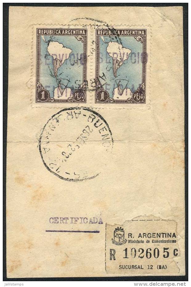 GJ.810, 1P. Map With Antarctica, With Handstamped Overprint Applied By The Press Office Of The Presidency, Pair On... - Service