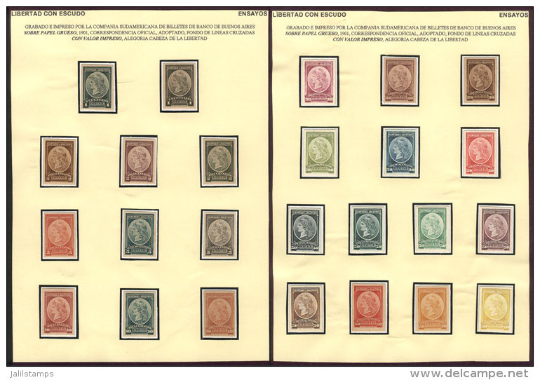 GJ.35/40, 1901 Liberty Head, 25 TRIAL COLOR PROOFS Printed On Thin Card, Several Examples Of Each Value, Mounted On... - Service