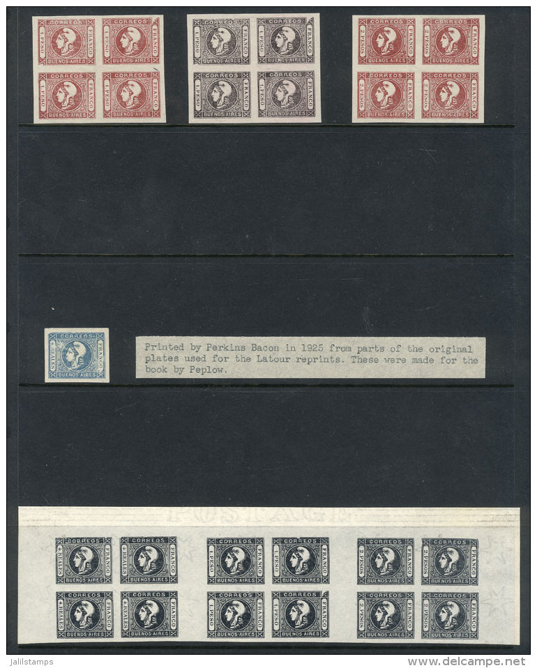 REPRINTS: Stockcard With 3 Blocks Of 4, Single And Block Of 12 Stamps (in 3 Blocks Of 4, Of Different Values),... - Buenos Aires (1858-1864)