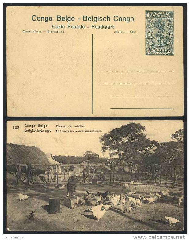 15c. Postal Card (PS) Illustrated On Reverse With View Of A Farm (poultry), VF Quality! - Autres & Non Classés