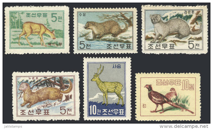 Sc.194/199, 1959/62 Animals, Cmpl. Set Of 6 MNH Values (the First 4 Issued Without Gum), Excellent Quality! - Korea, North