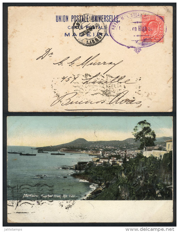 Postcard (Madeira: Funchal From The East) Sent To Argentina, Franked With British Stamp Of 1p., With Violet Cancel... - Autres & Non Classés