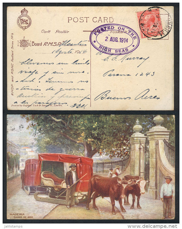 Postcard (Madeira: Carro De Bois) Sent To Argentina On 2/AU/1914, Franked With British Stamp Of 1p., Cancel Of... - Autres & Non Classés