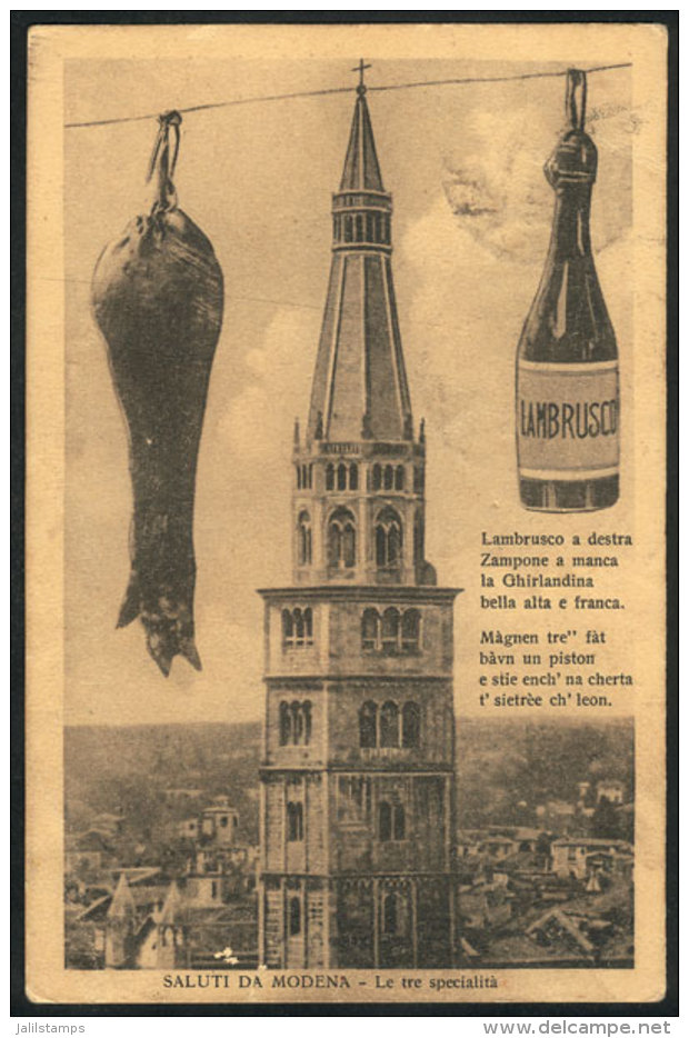 MODENA: Advertisement Of Lambrusco, Used In 1913, VF Quality! - Autres & Non Classés