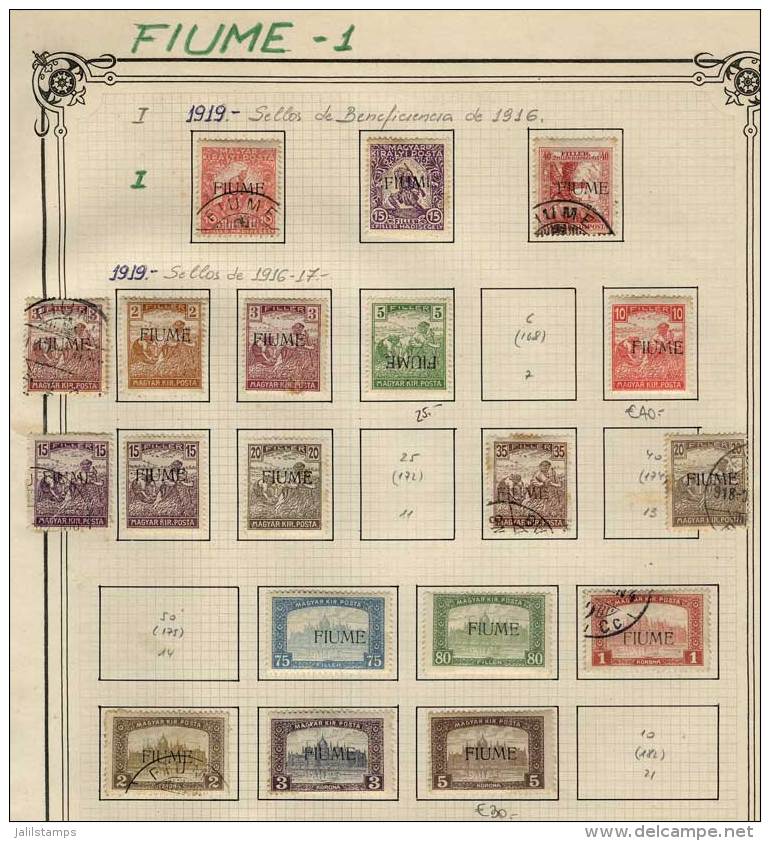 Old Collection On Album Pages, Fairly Complete. It Includes Many Rare Stamps Of High Value. The General Quality Is... - Fiume