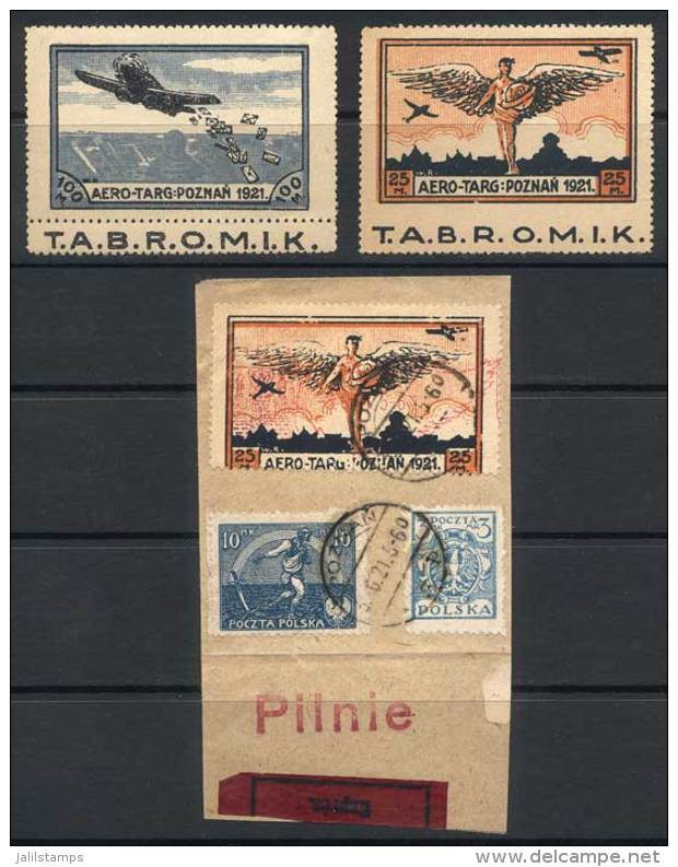 1921, Special Stamps With "T.A.B.R.O.M.I.K." Tab To Be Used In Aero-Targ Flights, Unused Set Of 2 Values. The Lot... - Autres & Non Classés