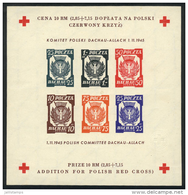 Souvenir Sheet Issued In 1945 For The Red Cross, Issued Without Gum, VF Quality! - Autres & Non Classés