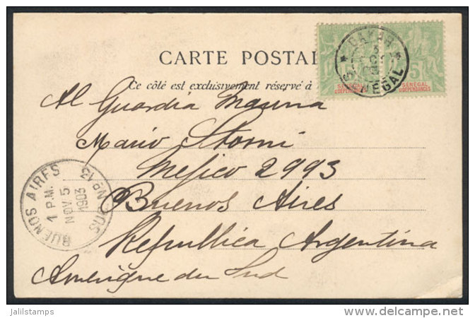 PC (view Of Pileuse De Coscous), Franked By Pair Sc.39, Sent From Dakar To Argentina On 3/OC/1903, Rare... - Sénégal (1960-...)