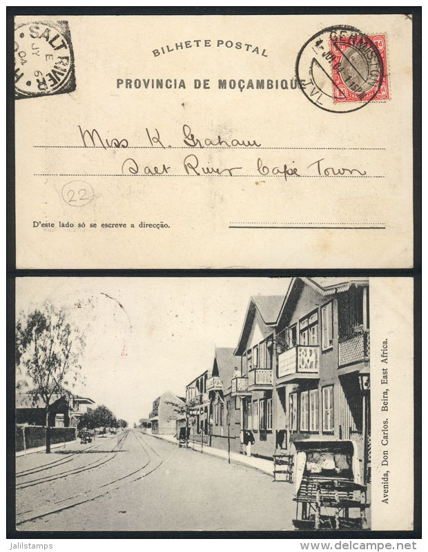 PC With View Of "Avenida Don Carlos, Beira, East Africa", Sent From Germiston To Cape Town On 4/JUL/1904, Excellent... - Transvaal (1870-1909)