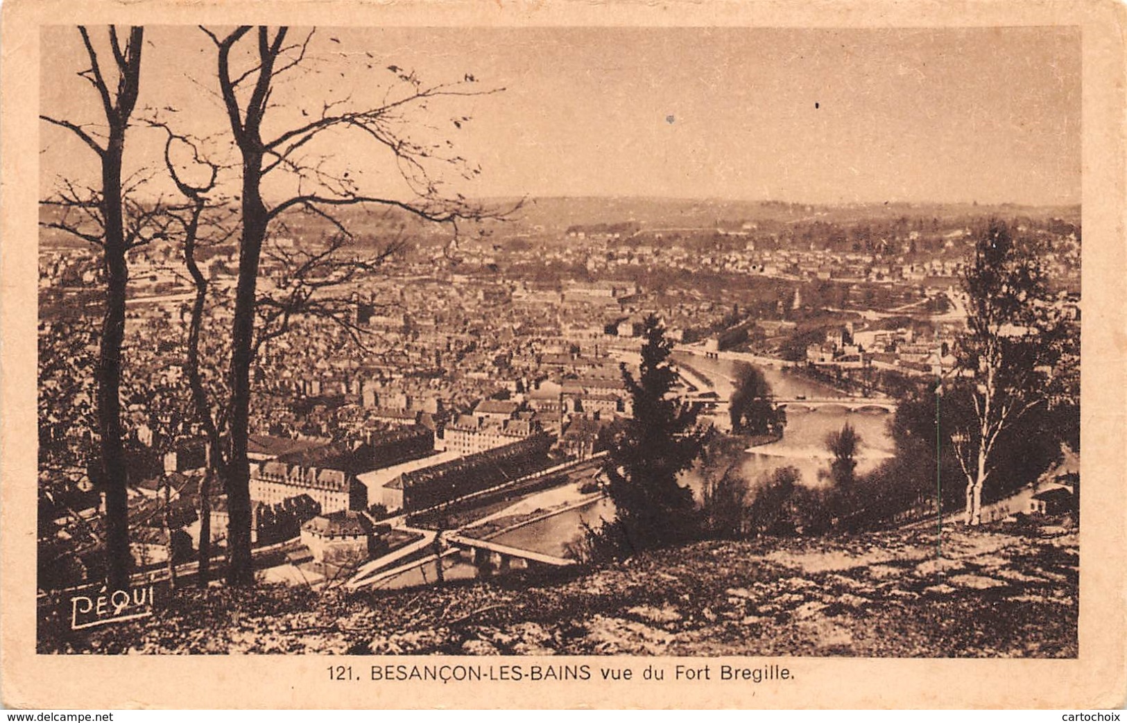 25 - Besançon - Beau Panorama Du Fort Brégille - Besancon